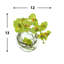 Orchid Arrangement in Glass Vase