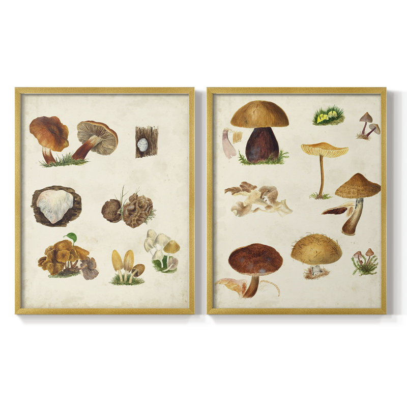 Reproduction encadrée de champignon I-Premium - prêt à être accroché - aucun clou requis - aucun clou requis, Doré