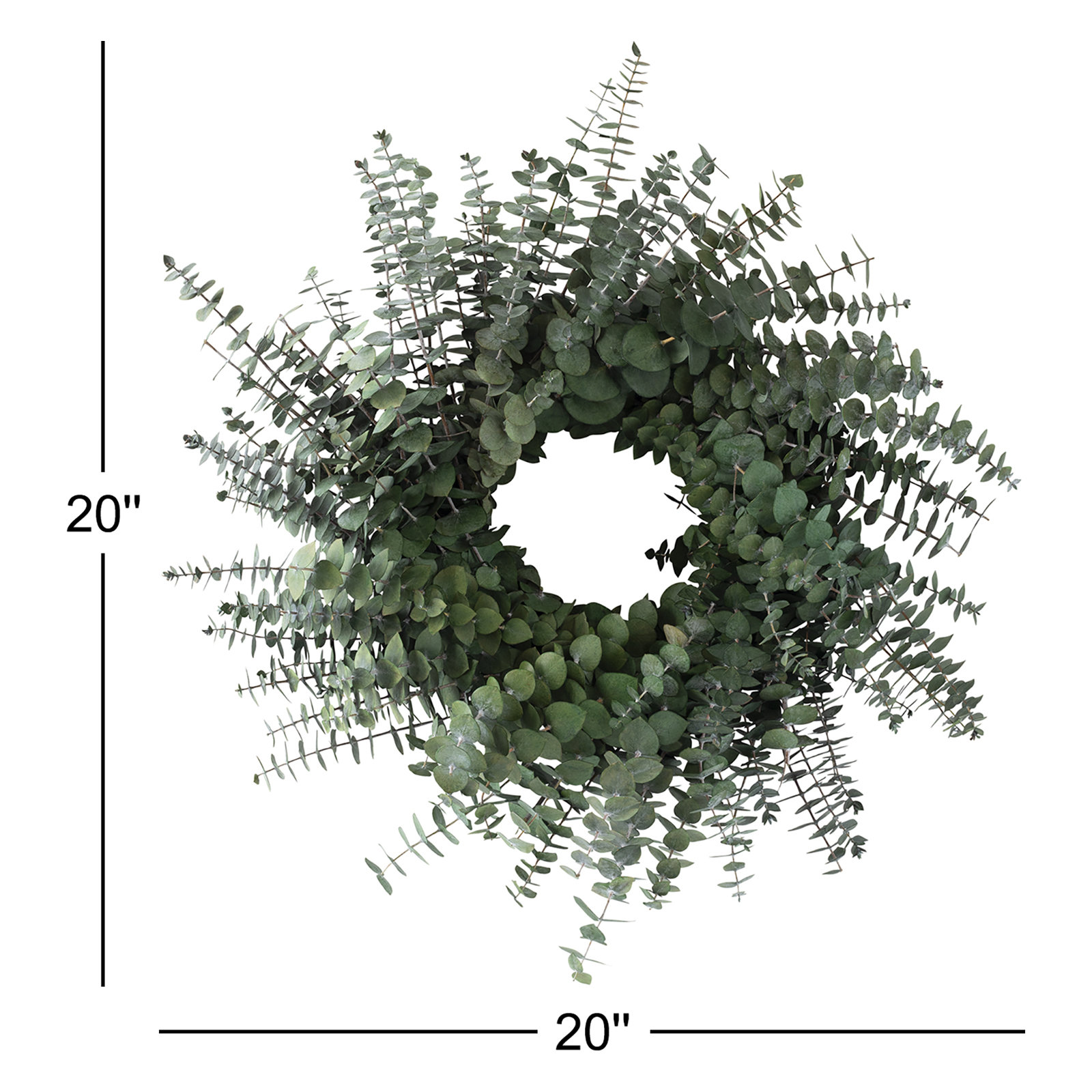 19'' Handcrafted Preserved Eucalyptus Baby Eucalyptus Wreath, Green