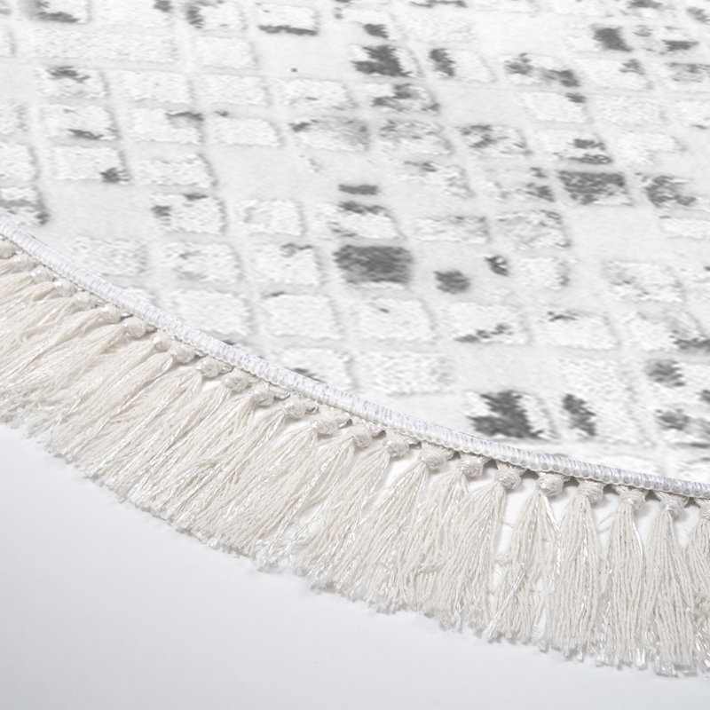 Elver Machine Woven Polyamide Area Rug in Gray/White, Oval 3'11" x 5'11"