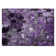 Altair Synthetic Floral Indoor / Outdoor Rug