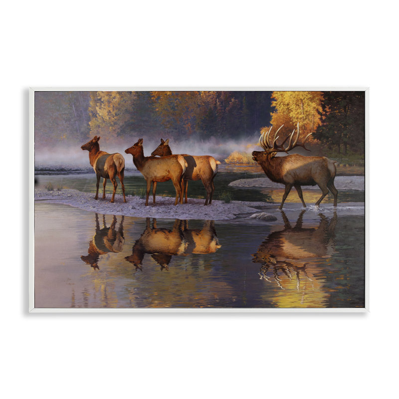 Art de giclée «Elk Family» par Rod Lawrence, Estampe numérique encadrée blanc bord de mer, H 16 po x l 24 po