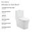 Concorde One-Piece 12" Rough-in 1.1/1.6 GPF Dual Top Flush Square Toilet in Glossy White-1982268222-1982268218