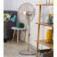 Oscillating Pedestal Fan