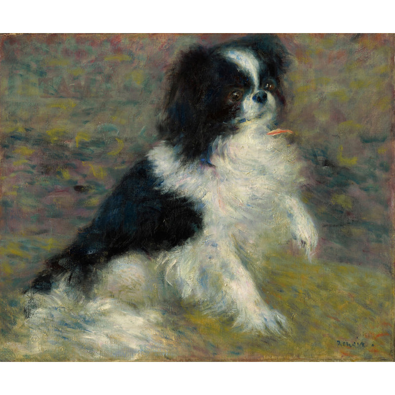 Tama le chien japonais, H 15 po x l 18 po