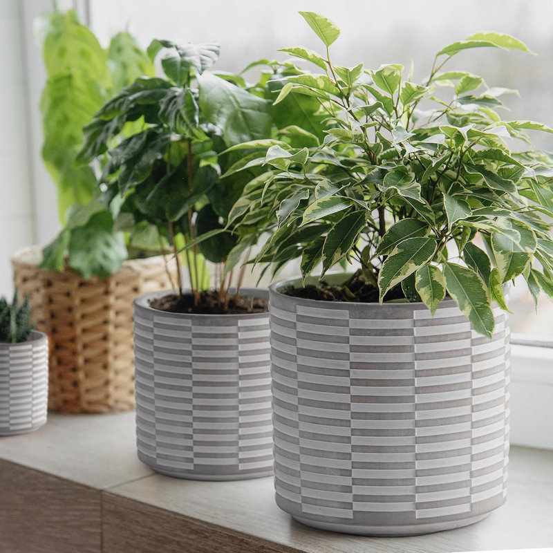Set Of 3 Concrete Planters (4", 5.5", 7") With Drainage