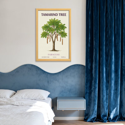 Plants &Flowers Tamarind Tree Botanical Illustration Print