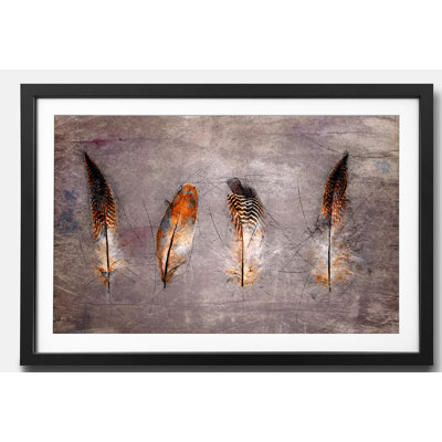 Streetart Four Feathers - Single Picture Frame Print