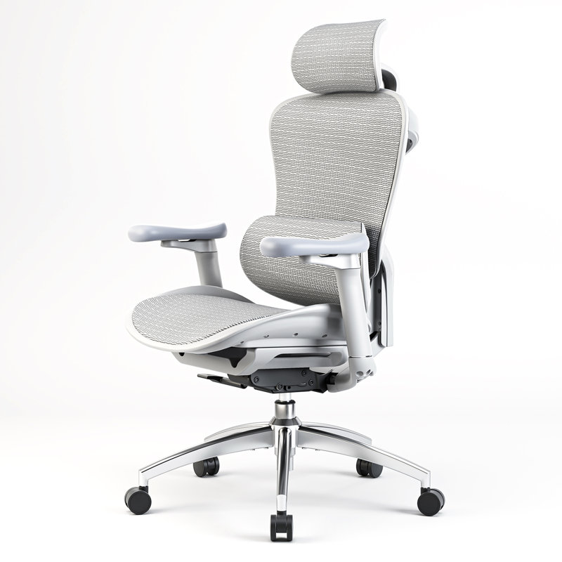 Ergonomic Office Chair with 3D Armrests, Dynamic Lumbar Support, Grey, Light Grey/Silver
