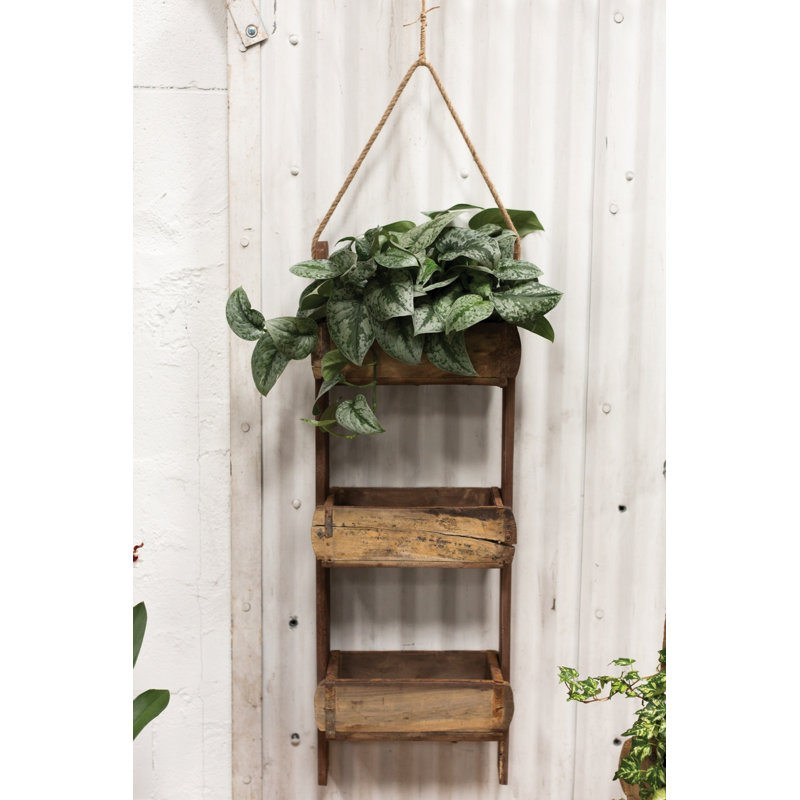 Fircrest 3 Piece Mango Tiered Shelf