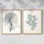 Antique encadré corail III - impression encadrée de qualité supérieure - prête à être accrochée - aucun clou requis - aucun clou requis-1634194162-1634194163