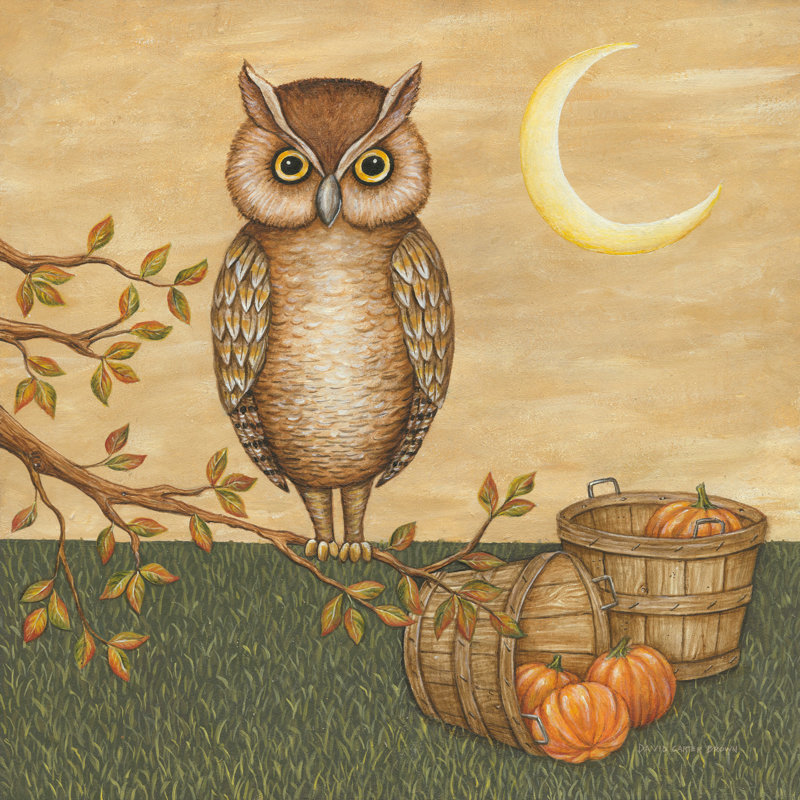 Hibou d'Halloween, H 36 po x l 36 po