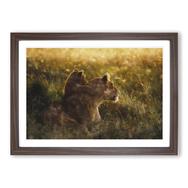 Lioness with Lion Cub - Framed Print, 48cm H x 65cm W x 2cm D, Walnut Framed