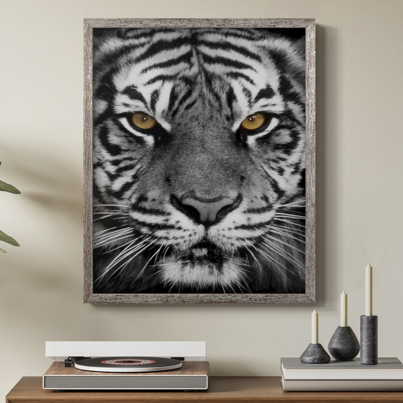 Golden Eyes Framed Print - Solid Wood