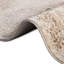 Tapis oriental beige Clessie-18664678
