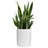 Fiberglass Round Pot Planter-50086498-50086497