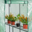 6 Ft W x 4 Ft D Greenhouse