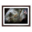 Colourful Elephant in Abstract - Picture Frame Graphic Art Print-55686101-55686102
