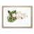 Oak Framed selected