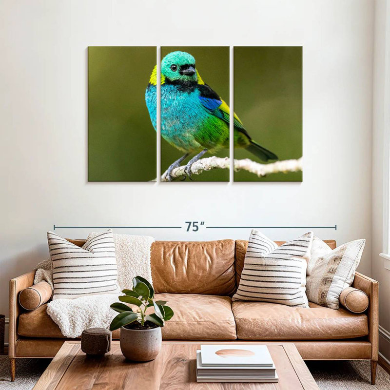 Brampt Green Headed Tanager, 36" H x 57" W
