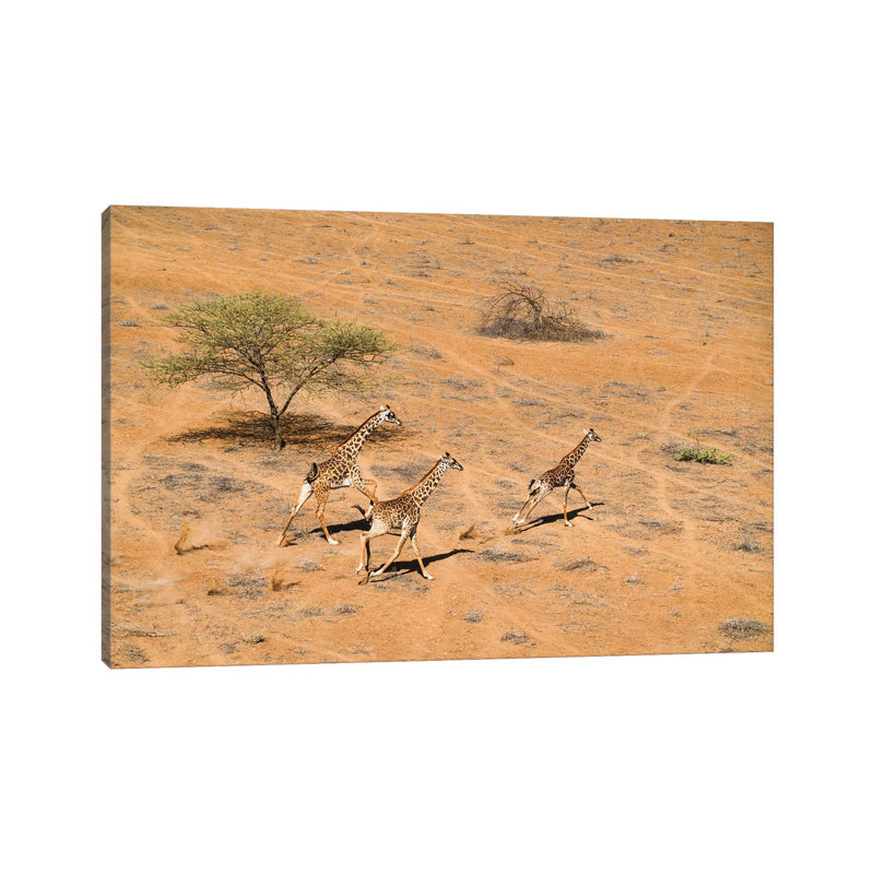 Family Paradise by John Fan - Wrapped Canvas Print, 30.48 cm H x 45.72 cm W