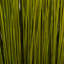 Faux Bright Grass Grass Plant Preserved