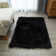 Enrica Soft Fluffy Black Area Rug 