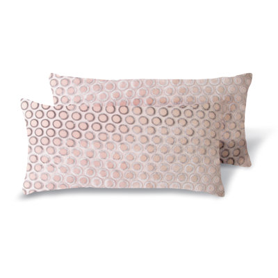 Dots Rectangle Velvet Pillow Cover & Insert