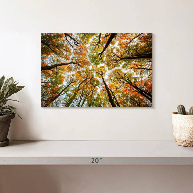 Alvord Larvik, forêt d'automne de Norvège, H 8 po x l 12 po