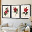 Red Botanical I - reproduction encadrée sur mesure de qualité supérieure mate - 3 pièces-1837228767-1837228737