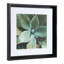 «Karnecia Succulent 14» par Amy Peterson - reproduction de photo sur cadre flottant