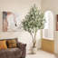 Olive artificielle Ashwell avec pot blanc-155919474