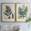 Collection de fougères VI - ensemble de 2 reproductions d'art sur toile encadrées-757566630-757566620