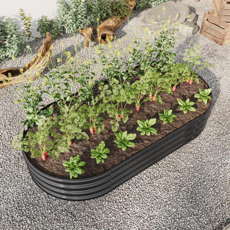 Lit de jardin surélevé ovale pour jardin pour plantes, légumes et fleurs, Noir, H 11,42 po x l 70,86 po x P 35,43 po
