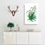 Chinese Rhubarb Illustration - Wrapped Canvas Painting-55370488