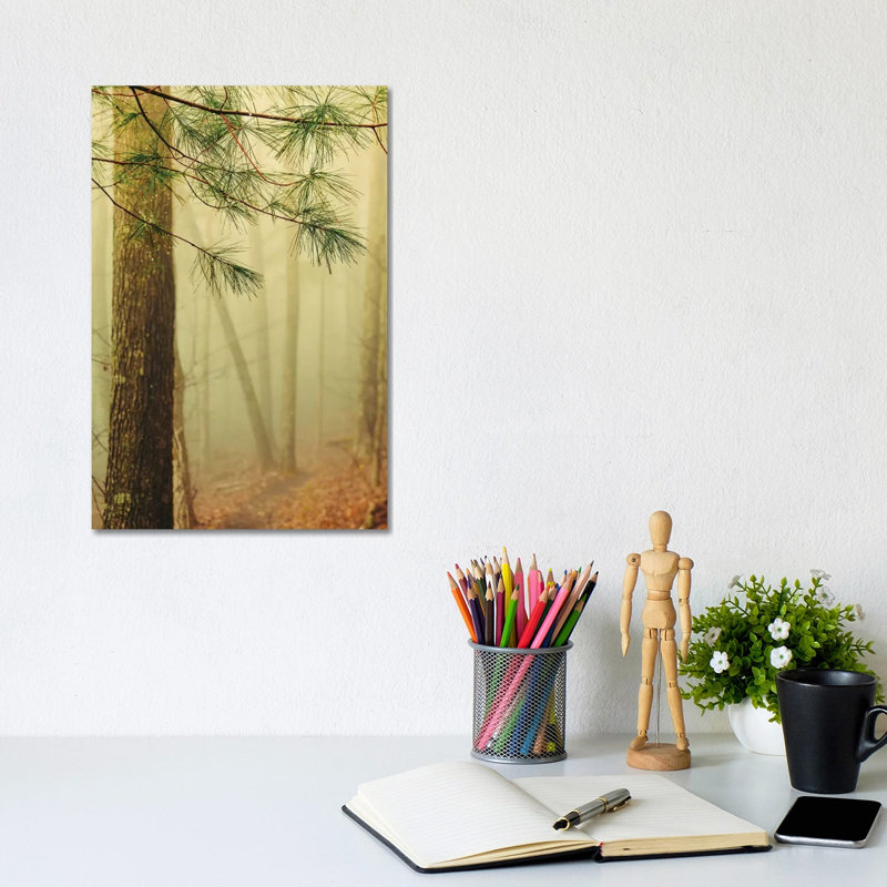 Trees In Fog IV by Olivia Joy StClaire - Wrapped Canvas Print, 20.32 cm H x 30.48 cm W