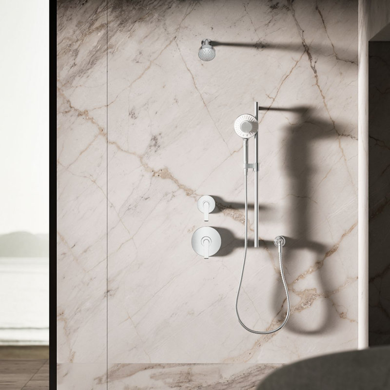 Spaviva Two-Function Handshower With All-In-One Cleansing Device 2.5 GPM, Polished Chrome
