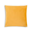 Noah Velvet Square Accent Pillow