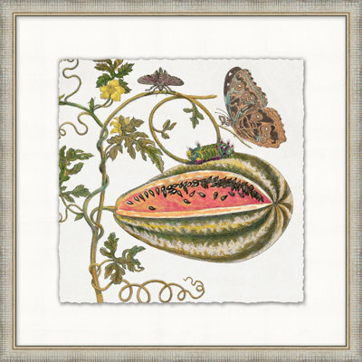 Garden Butterflies 7 Print