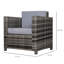 Aalijah Metal Outdoor Lounge Chair