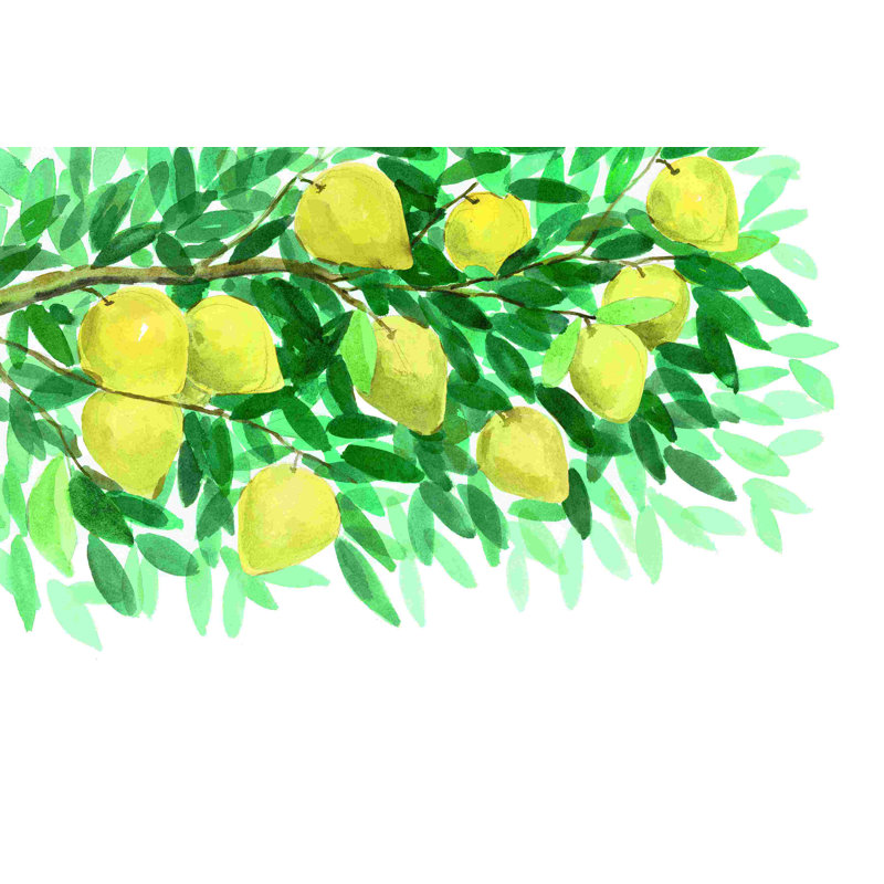 Branche de citron avec feuilles de menthe, H 32 po x l 48 po