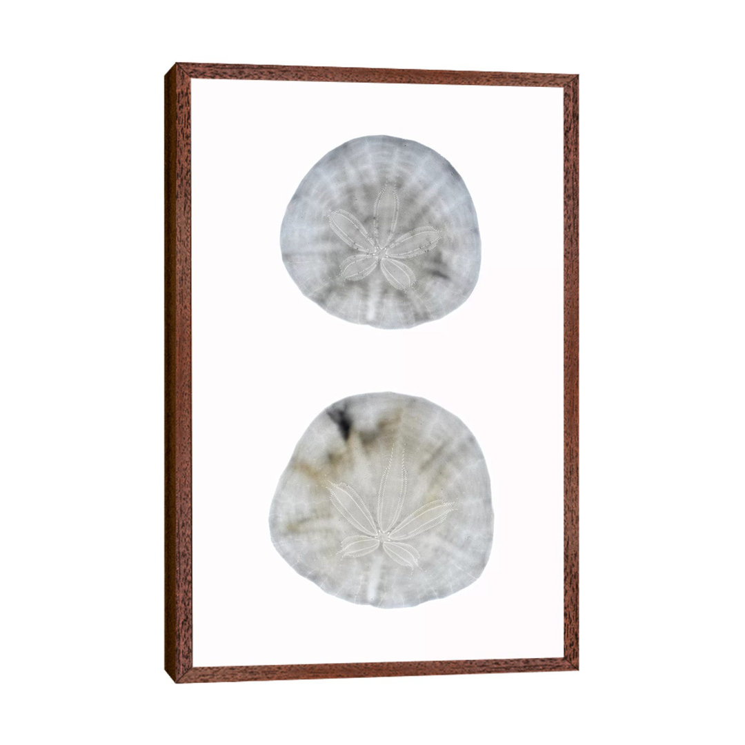 Silhouette Sand Dollars