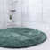 Indoor Rug