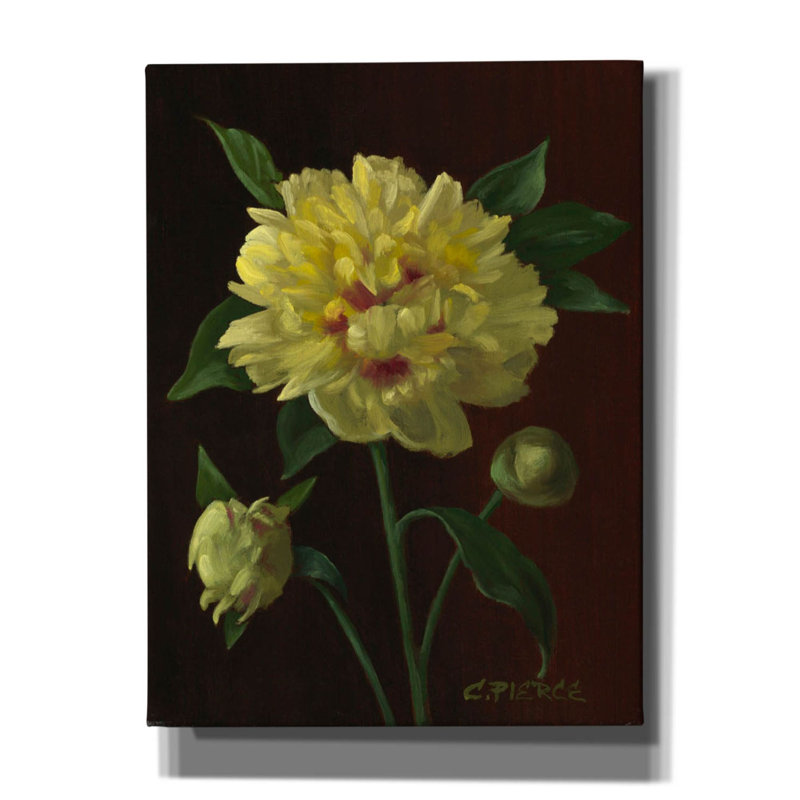Pivoine jaune sur toile par Christopher Pierce, H 16 po x l 12 po x P 0,75 po