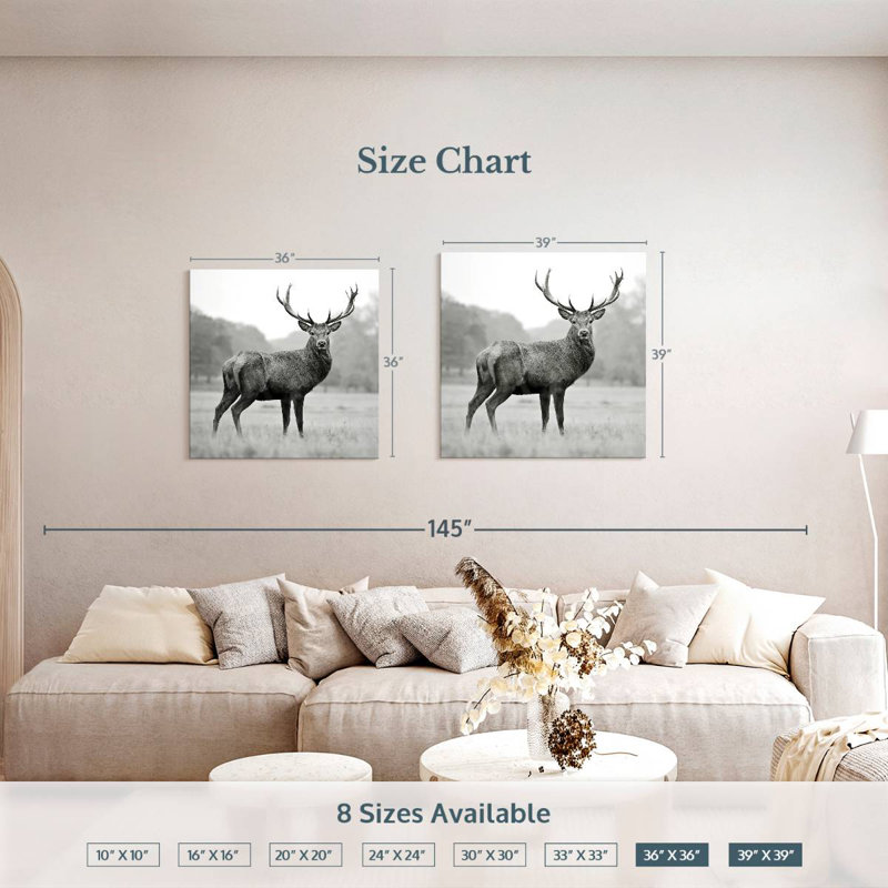 Brampt Proud Deer BW, 36" H x 36" W