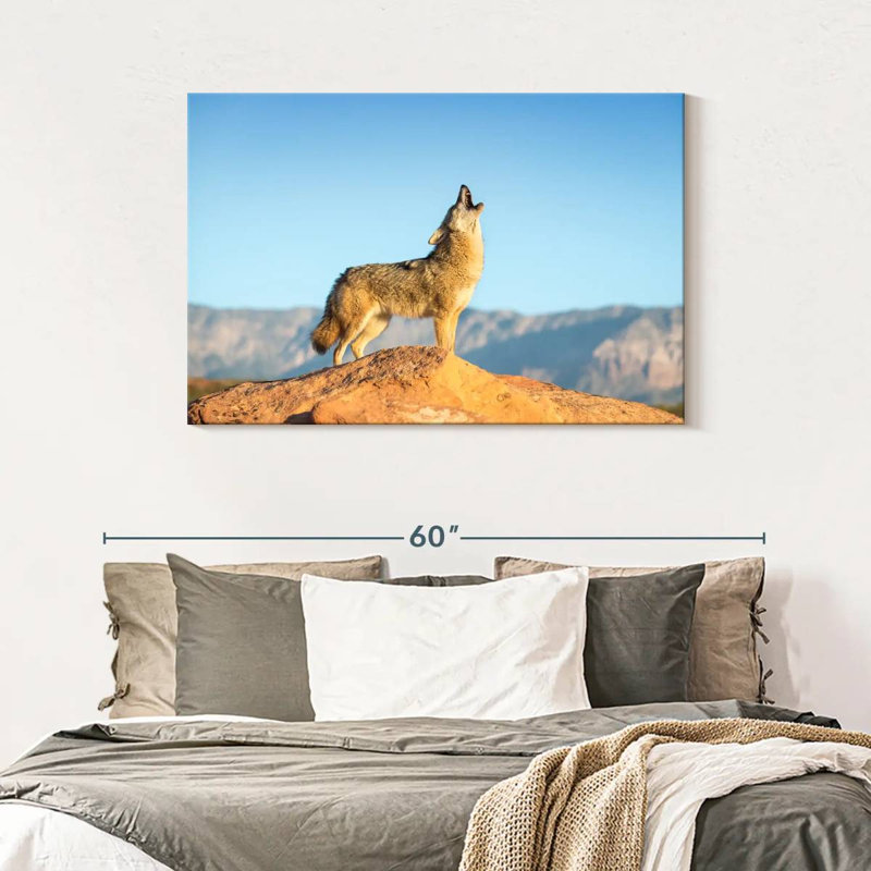 Brampt Howling Coyote, 30'' H x 45'' W