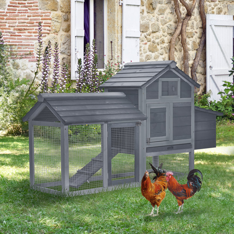 Chicken Coop