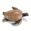 Alex the Turtle Sculpture