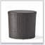 TABLE D'APPOINT RD BARREL UNE TOUCHE DE POLYÉTHYLÈNE EN rotin 17,50 po x P 17,50 po x H 16,75 po