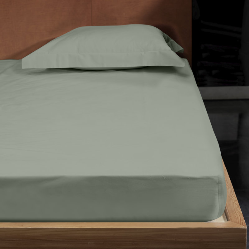 Raffaello Sham, Standard Sham, Silver Sage